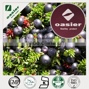 Acai Berry Extract Template thumbnail-2