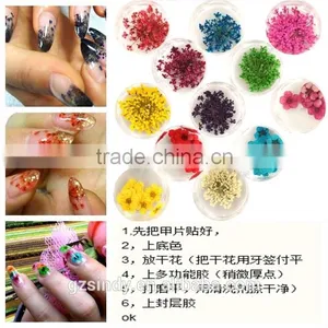 3D Nail Art Acrylic Flower Nail Decoration /nail Real Dried Flowers ZX:GH750 thumbnail-3