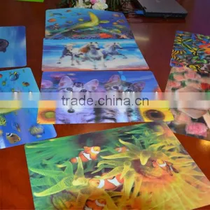 3D Place Mat thumbnail-1