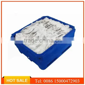 1000L Plastic Marine Coolers for Fishing, Cooler Box For Boating for Frozen Products thumbnail-5