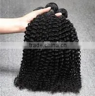 Malaysian Afro Kinky Curl Sew in Hair Weave Synthetic Hair thumbnail-1