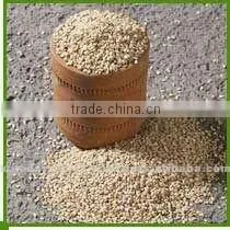 Sesame Seeds thumbnail-1