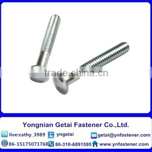 Stainless Steel 304 Carriage Bolt Din603 thumbnail-6
