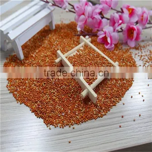 Red Millet In Husk With Good Price thumbnail-2