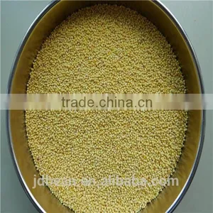 Organic Hulled Glutinous Yellow Broomcorn Millet Hot Sale for Supermarket thumbnail-1