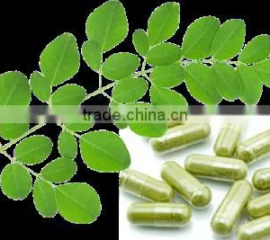 MORINGA CAPSULES MORINGA POWDER CAPSULES thumbnail-3