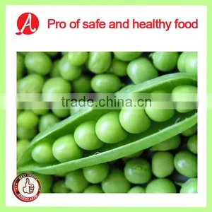 High Quality IQF Green Peas on Hot Sale thumbnail-1