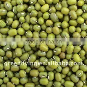 Sell Chinese Dried Green Mung Bean(high Quality 3.2-3.6mm) thumbnail-1