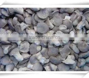 Wholesale Frozen Oyster Mushroom thumbnail-2