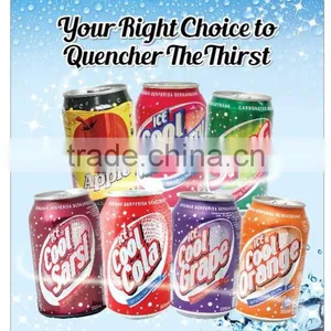 Carbonated Drink - Apple Flavoured 325ml thumbnail-2