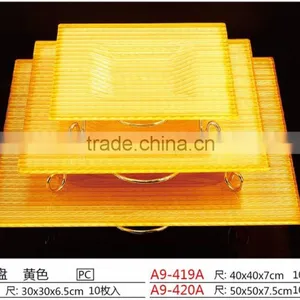 China Reusable Rectangle PC Fruit Plate thumbnail-3