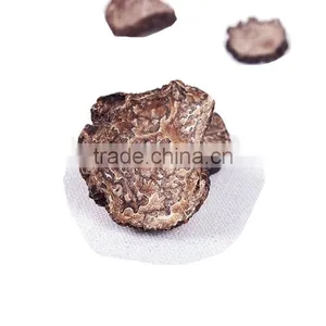 Truffles Tartufi, Chinese Truffle thumbnail-2