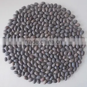 VIETNAM LOTUS SEED, HIGH QUALITY AT RIGHT PRICE thumbnail-5