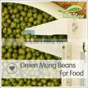 Organic Chinese MungBeans,Mung Bean Prices,Fresh Green Beans Competitive Price thumbnail-2