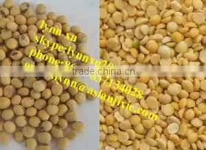 Soybean Peeling Machine / Soybean Skin Removing Machine thumbnail-4