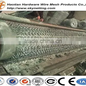 High Quality Galvanized Chicken Wire Netting Hexagonal Wire Netting Poultry Mesh thumbnail-2