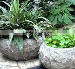 Resin Plant RSPTG-41 thumbnail-1
