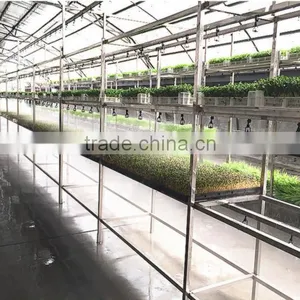 Neweek Combine Heating Tube Hydroponic Wheat Corn Alfalfa Sprouting Machine thumbnail-5