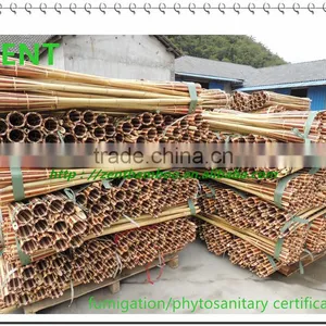 ZENT-123 01Garden Bamboo Torch/bamboo Tiki Torch/garden Torch thumbnail-1