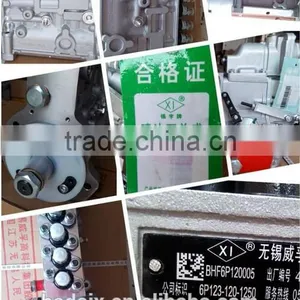 WUXI WEIFU Fuel Injection Pump BHF6P120005 6P123-120-1250 thumbnail-2