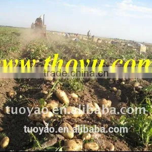 Harvester Manufacturer Groungnut/ Garlic Harvesting Machinery (SMS:0086-15981860197) thumbnail-6