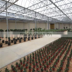 Polycarbonate Greenhouse thumbnail-3