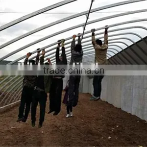 New Type Of Tunnel Greenhouse For Vegetables thumbnail-3