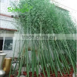 SJLJ013723 High Quality Artificial Bamboo Stick Plastic Evergreen Bamboo Plant thumbnail-2