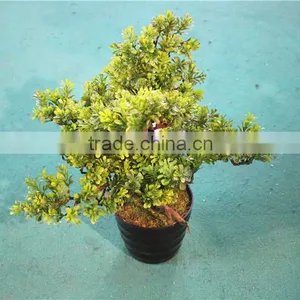 Home Garden Decoration 50cm to 160 cm Hight Small Indoor Canadian Artificial Green Pot Plastic Similar Pine Trees ELSPZ02 0903 thumbnail-3