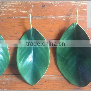 High Quality Artificial Magnolia Leaf thumbnail-1