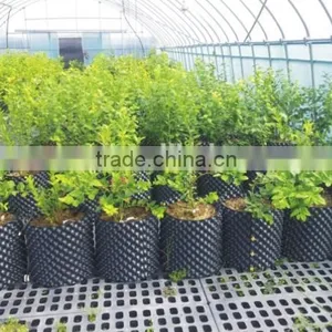 Plastic Root Control Container/pot for Garden Tools thumbnail-3