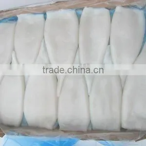 Frozen Squid Tube thumbnail-1
