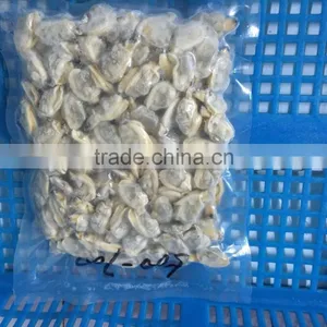 New Sason Frozen Baby Clam Meat Export Levels Quality thumbnail-4