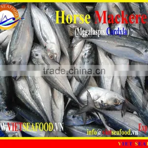 FROZEN W/R HORSE MACKEREL thumbnail-2