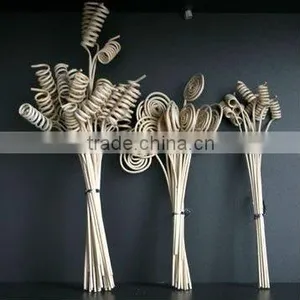 Curly Reed Sticks thumbnail-1