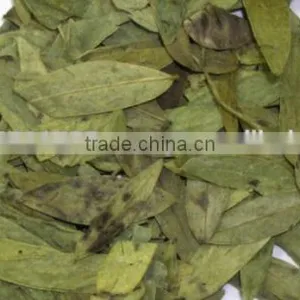 CALCIUM SENNOSIDES EXTRACT thumbnail-4
