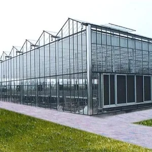 Glass Greenhouse 9.6m/10.8m Multispan Glass Greenhouse thumbnail-5