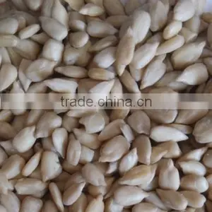 Sunflower Kernel thumbnail-3