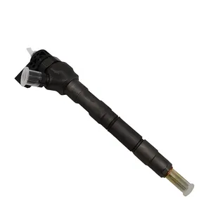 High Quality 0445110647 Diesel Common Rail Fuel Inyector thumbnail-1