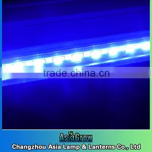 T5 LED Grow Bulb Blue 460nm thumbnail-1