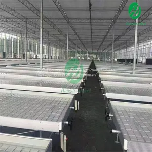 Benches for Greenhouse Easily Assembled Hydroponic Flood Ebb and Flow Nursery Table Rolling Bench thumbnail-2