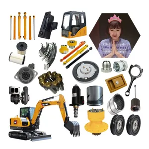 Repuestos De Excavadora SANY Piezas Originales Y OEM Para Excavadoras SANY De China thumbnail-6