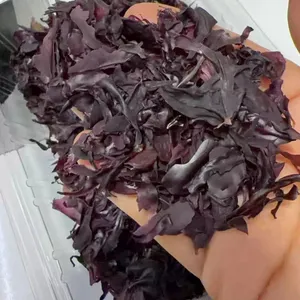 Premium Quality Dulse Seaweed Red Dulse Palmaria Palmata Flakes and Powder for Culinary Use and Food Supplement - Natural Iodine and Iron Source thumbnail-3