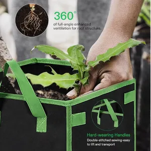 Heavy Duty Square Plant Grow Bags Breathable Fabric Pots for Nursery thumbnail-4