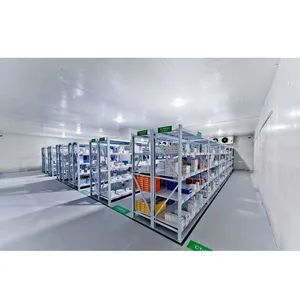 500T Cold Storage Warehouse for Storing Perishable Products thumbnail-1