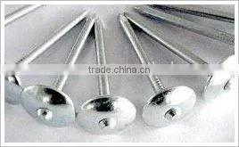 Roofing Nails thumbnail-1