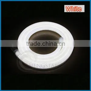 5M 300LEDs 24V 12V LED Neon Flex Digital Programmable Led Neon Flex Light thumbnail-5