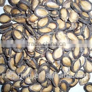 MELON SEED KERNELS,MELON SEEDS thumbnail-4