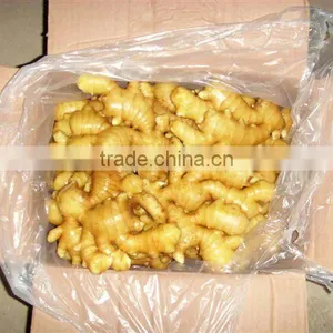 China Fresh Ginger Export the World thumbnail-1