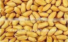 Roast and Salty Peanuts thumbnail-1